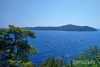 Rezervat Lokrum; Prva tri dana veljače prijevoz do otoka besplatan za sve posjetitelje!