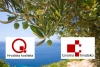 Bespovratnim sredstvima do znakova "Hrvatska kvaliteta" i "Izvorno hrvatsko"